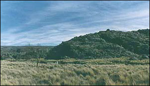 Paisajes.