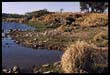 Río Grande.