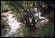 El arroyo de la esquina.